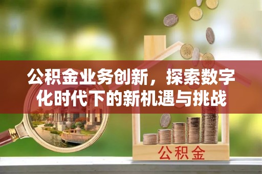 覃塘公积金业务创新，探索数字化时代下的新机遇与挑战